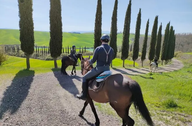 Equitazione a Buonconvento: Sentieri nelle Crete Senesi
