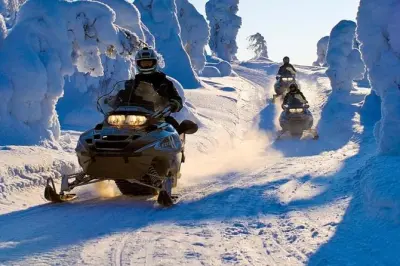 Schneemobilsafari ab Levi: Fahrt auf Waldwegen