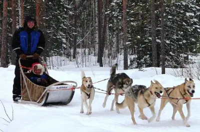 Reindeer and Husky Sled Safari from Levi
