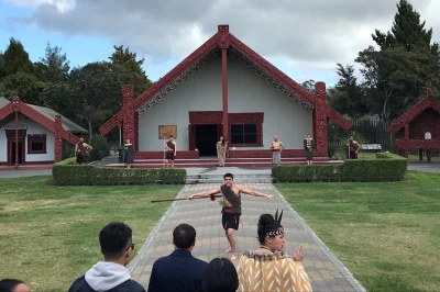 Descubre los géiseres de te puia en rotorua, pasea por terrazas milenarias y conoce la cultura maorí. incluye recogida en puerto, guía en vivo y entradas.