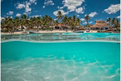 Explore as ruínas à beira-mar de tulum, nade com tartarugas em akumal e relaxe em um cenote, tudo com transporte privado e guia local. inclui almoço e equipamentos.