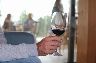 Degustazione vini a Lagos: Tapas, cucina e musica