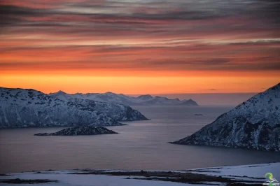 Scopri l’aria selvaggia dei fiordi di tromsø, incontra le renne, ricevi foto gratuite e rilassati con dolce e bevande calde in questo tour di un giorno in piccolo gruppo con pickup incluso.