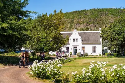Franschhoek half-day bike tour: Two wine tastings