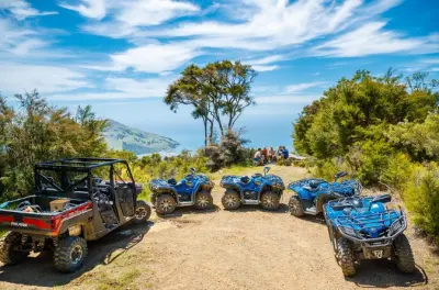 ATV Riding in Nelson: 14 km native forest trails