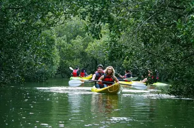 Kayak dans la baie des îles : Exploration de la cascade
