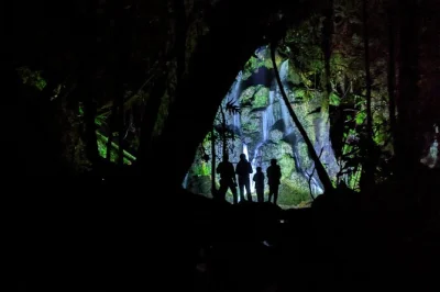 Step into rotorua’s native forest at night for a glow worm walk, wildlife sounds, and stargazing. includes small group, local guide, and pickup from rotorua.