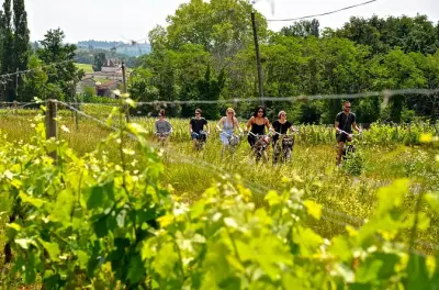 Saint-Émilion y Pomerol en e-bike: Tour de vino de 4 horas
