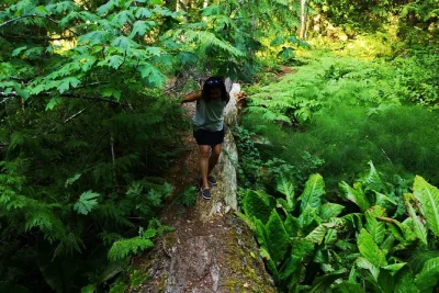 Feel the hush of vancouver island’s ancient forests on a private rainforest hike near victoria, with hotel pickup, local guide, and flexible routes for all levels.