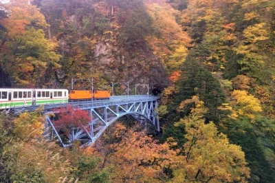 Feel the steam rise at unazuki onsen, ride the kurobe gorge trolley train, and walk old mountain paths with a local guide. includes transport & lunch options.