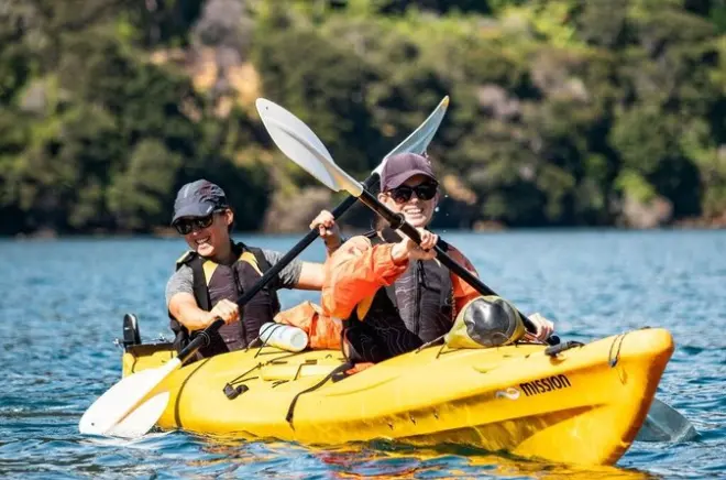 Kayak en mer à Picton : Excursion guidée d’une demi-journée