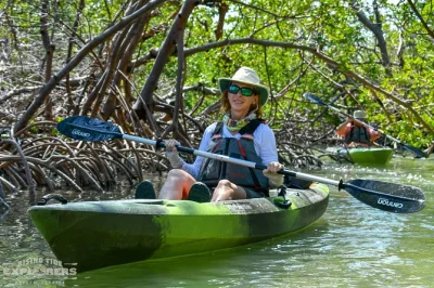 Erlebe eine kajak-tour durch die mangroven von rookery bay bei naples & marco island mit echten biologen, entdecke wilde tiere, sichere dir kostenlose fotos und den eintritt ins environmental learning