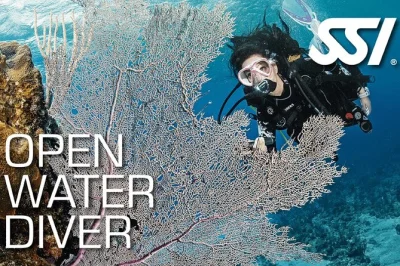 Get certified with a 3-day open water diving course in koh samui. dive in a pro pool, explore local sites, and earn your worldwide license.