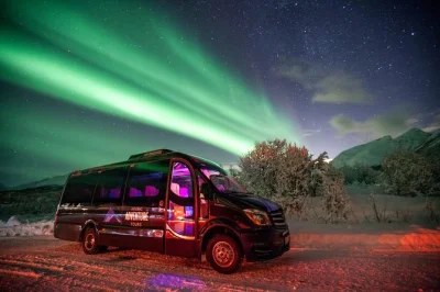 Chase the northern lights from tromso in a small group, with campfire dinner, warm gear, and photos included. flexible route, local guides, and pickup provided.