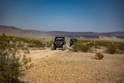Descubre el desierto de mojave en un tour guiado en polaris rzr, cambia de conductor, admira los árboles de joshua y disfruta de la recogida en hotel. incluye snacks y equipo de seguridad.