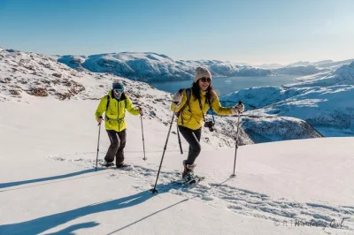 Feel the arctic air on a tromso snowshoeing hike—fjord views, wildlife, and a hot meal included. small group, pickup from city center, all gear provided.
