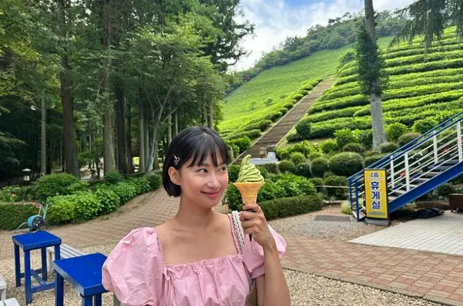 Boseong Green Tea Fields & Lake Trail from Gwangju: Private Tour
