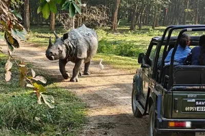 Pobitora Wildlife Sanctuary Jeep-Safari mit Einhorn-Nashörnern