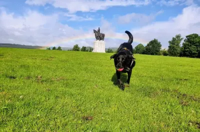 Champ de bataille de Bannockburn : La plus grande bataille d'Écosse