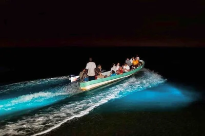 Swim in glowing waters on a night bioluminescence snorkeling tour in bocas del toro, guided by locals. includes snorkeling gear, expert guide, and life vests.
