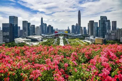 Shenzhen Private Day Tour: 8-Hour Custom Itinerary