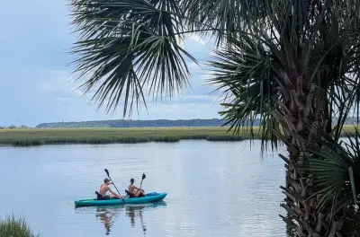 Kayak ou paddle dans la mangrove d'Amelia Island : Balade guidée