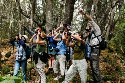 Observação de pássaros na floresta Hakalau com grupo privado