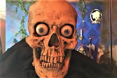 Scopri le strade infestate di chattanooga con una guida locale, ascolta storie di omicidi inquietanti e prova a catturare fantasmi in foto davanti ai luoghi più famosi—tour accessibile in sedia a r