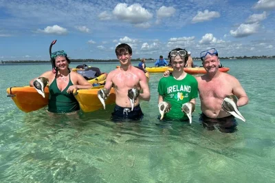 Erlebe floridas küste beim kajakfahren, entdecke delfine und manatis, schnorchle im klaren wasser und sammle muscheln – inklusive ausrüstung und flexiblen gruppenoptionen.