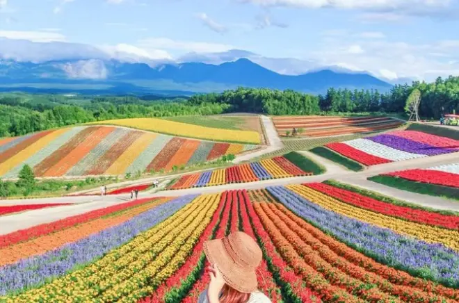 Biei day trip from Sapporo: Blue Pond, waterfalls, flower farms