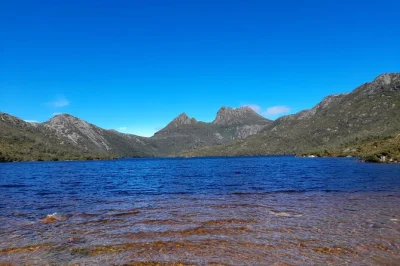 Ab hobart früh los für eine echte tasmanien-tour: frühstück in deloraine, wanderungen am cradle mountain, wombat-beobachtung und entspannung am dove lake. inkl. eintritt & guide.