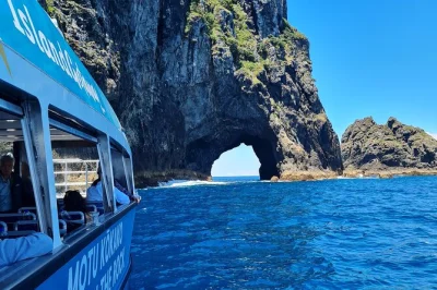 Sinta a brisa do mar no passeio pela bay of islands, conheça o hole in the rock, faça a trilha até o mirante da ilha roberton e aviste a vida selvagem local. inclui parada na ilha.