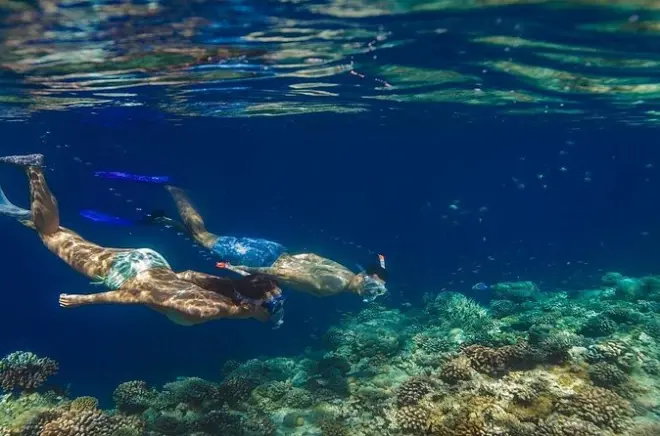 Snorkeling notturno a Dhiffushi, Maldive: Attrezzatura inclusa