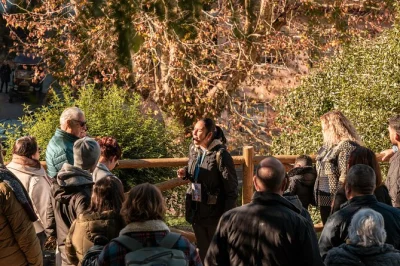 Let sintra surprise you on this walking tour—palaces, secret gardens, and legendary sweets with a passionate local guide. includes stories, stops, and snack breaks.