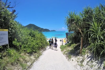 Swim at tokashiki’s beaches, try snorkeling with sea turtles, and enjoy a local lunch. includes round-trip ferry or boat from naha and island transport.