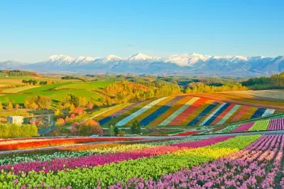 Hokkaido: Stagno blu, campi fioriti e giro in trattore