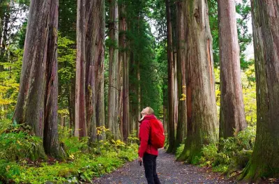 Togakushi walking tour from Nagano: Sacred shrines and soba