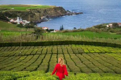 Furnas volcano tour: Geysers, lake, tea plantation & Terra Nostra