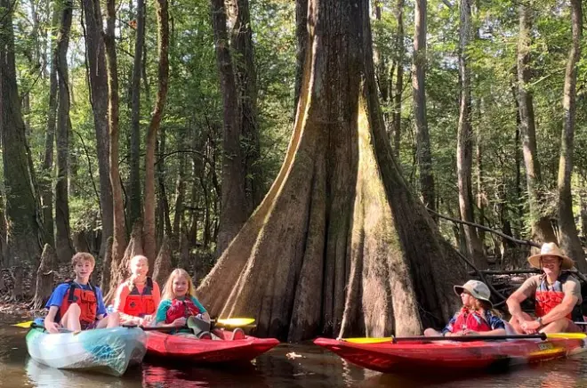 Kayak sur Cedar Creek dans le parc national de Congaree