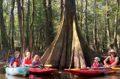 Kayaking Cedar Creek in Congaree National Park