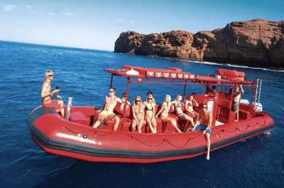 Molokini krater schnorcheln, meeresschildkröten in turtle town entdecken und mauis küste mit lokalem guide erleben. inklusive frühstück, lunch und schnorchelausrüstung.