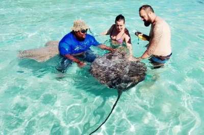 Swim with stingrays and turtles on moorea’s lagoon, hear legends from your local guide, and enjoy lunch with your feet in the water. includes drinks & easy pickup.
