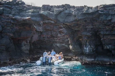 Descubra a baía de kealakekua e pu’uhonua o honaunau, faça snorkel com guias locais, explore cavernas de lava e aproveite lanches — equipamento e transporte inclusos.