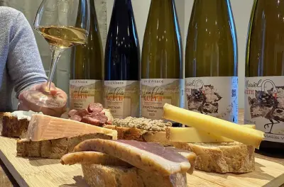 Weinkeller in Colmar mit Verkostung von 6 Bio-Weinen aus dem Elsass