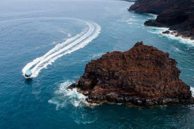 Explore a natureza selvagem de south kona, fazendo snorkel na baía de kealakekua, cavernas marinhas e uma praia de areia preta. inclui equipamento, almoço, lanches e guias locais—só precisa levar