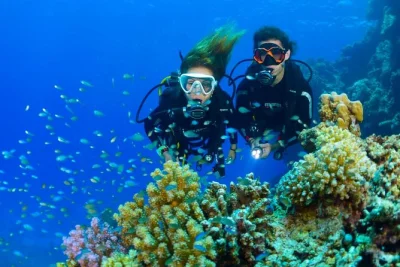 Feel the thrill of tulamben diving at bali’s iconic uss liberty shipwreck and vibrant coral garden, with hotel pickup, all gear, and lunch included for a seamless day.