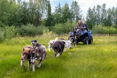 Kiruna in ATV con 70 husky e addestramento della squadra canina