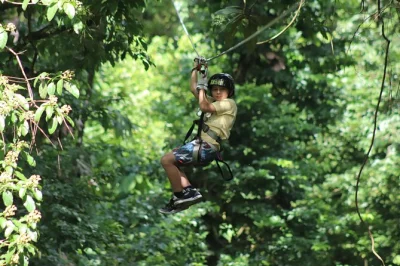Feel the rush on a zipline course near la fortuna with arenal volcano views, wildlife spotting, and family-friendly fun. includes all gear and local guides.