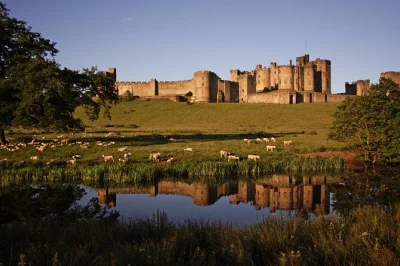Scopri la storia di alnwick castle, passeggia per la vivace piazza di kelso e segui la costa del northumberland, tutto con ingresso incluso e guida locale in piccolo gruppo.