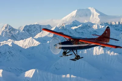 Vola sopra i ghiacciai di denali partendo da talkeetna, con guida esperta, trasferimento dall’hotel e la rara possibilità di atterrare su un ghiacciaio.